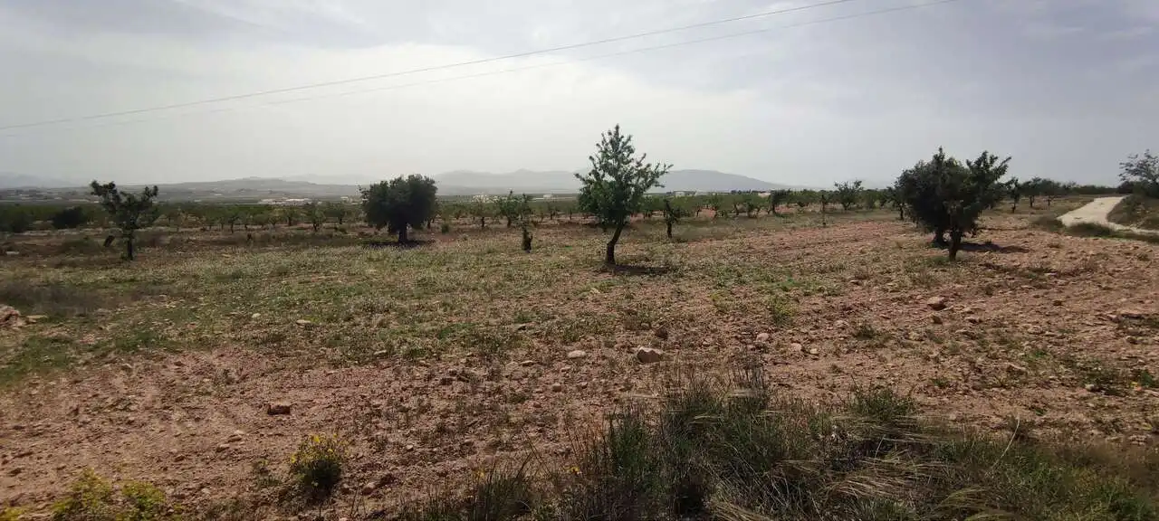 Casa rústica en venda a Pedanías Este, imagen 7