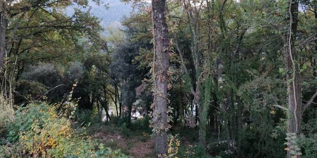 Terreno residencial en Venta en Porqueres