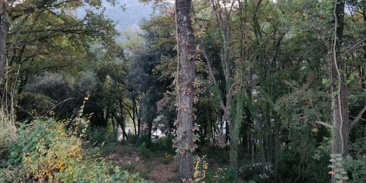 Terrenys i solars en venda a Porqueres