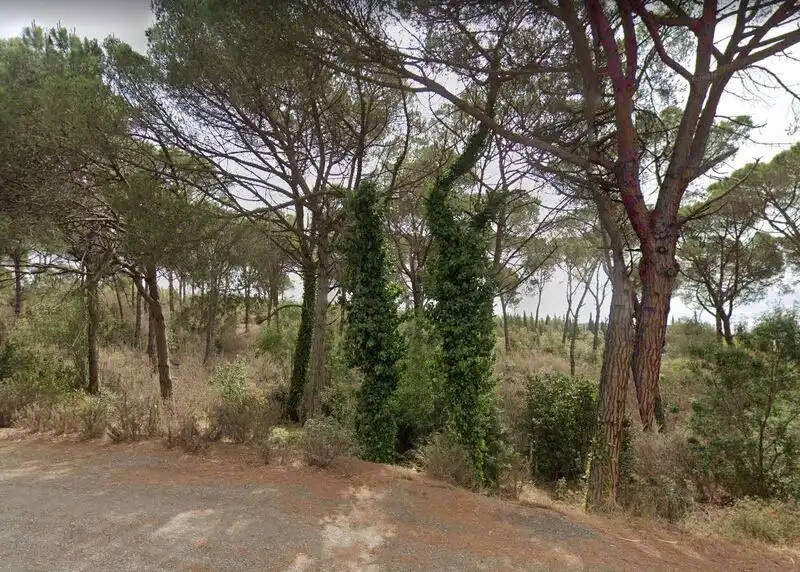 Residential land for sale in INDUSTRIAL CN II, POLIGONO 18, PARCELA 44, imagen 13