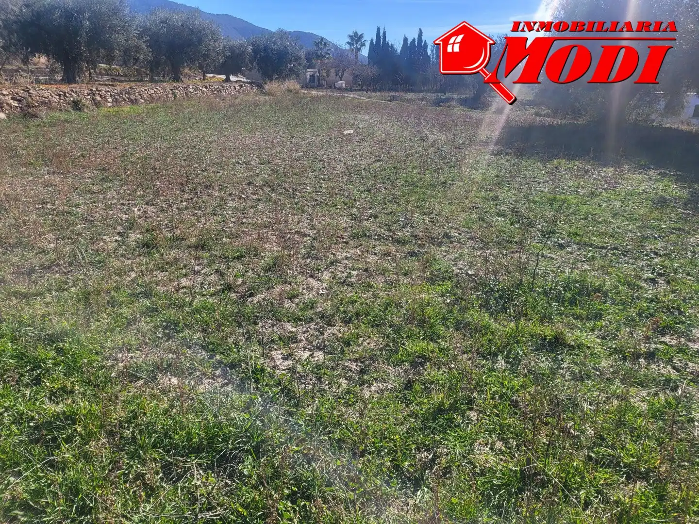 Lands and plots for sale in POLÍGONO 3 PARCELA 142 00, imagen 8