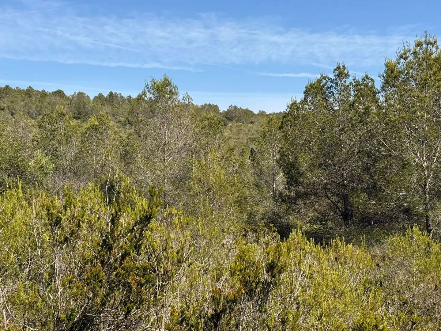 Finca rústica en venda a Vespella de Gaià