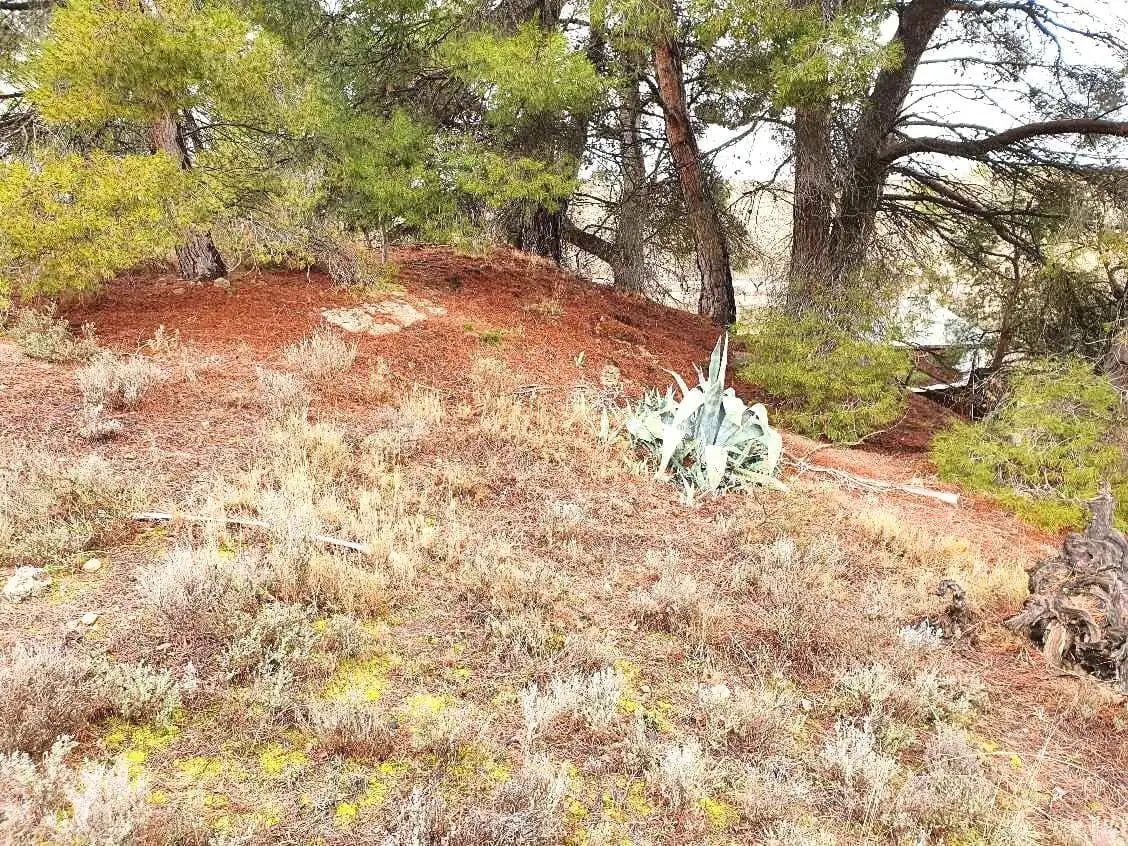 Terreno en venta en Maluenda