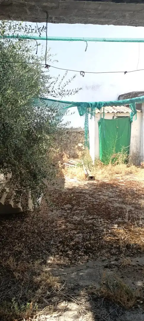 Haus mit Garten zum Verkauf in Castilblanco de los Arroyos, imagen 11