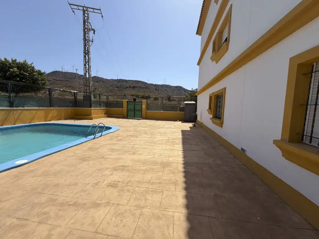 Swimming pool of Attic for rent in La Unión