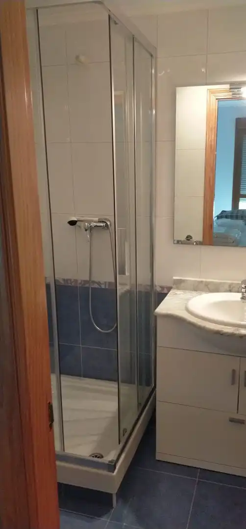 Appartamento con terrazza in vendita a La Brava, imagen 22