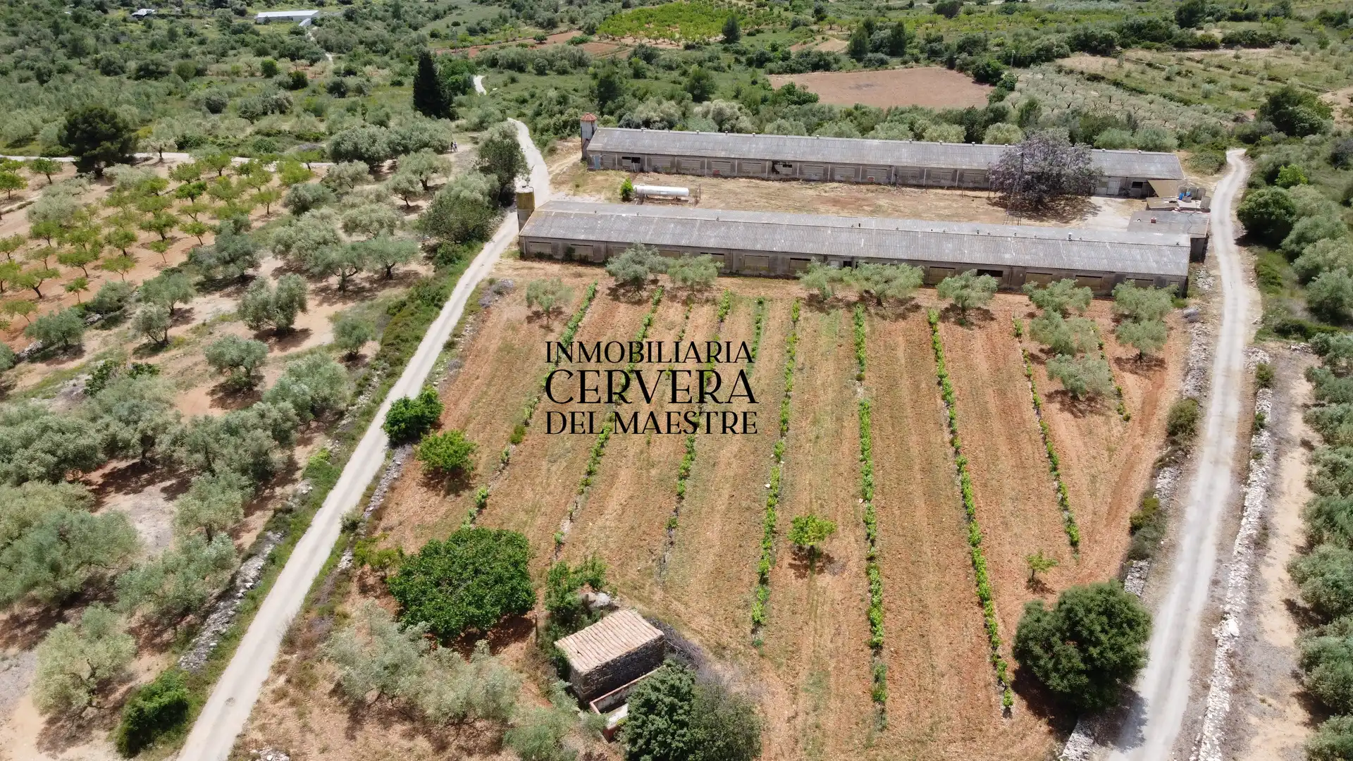 Terreno rustico in vendita a Cervera del Maestre, imagen 19