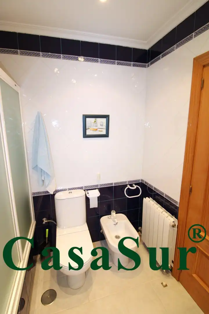 Baño de Casa o chalet en venta en Traspinedo con Calefacción, Jardín privado y Terraza