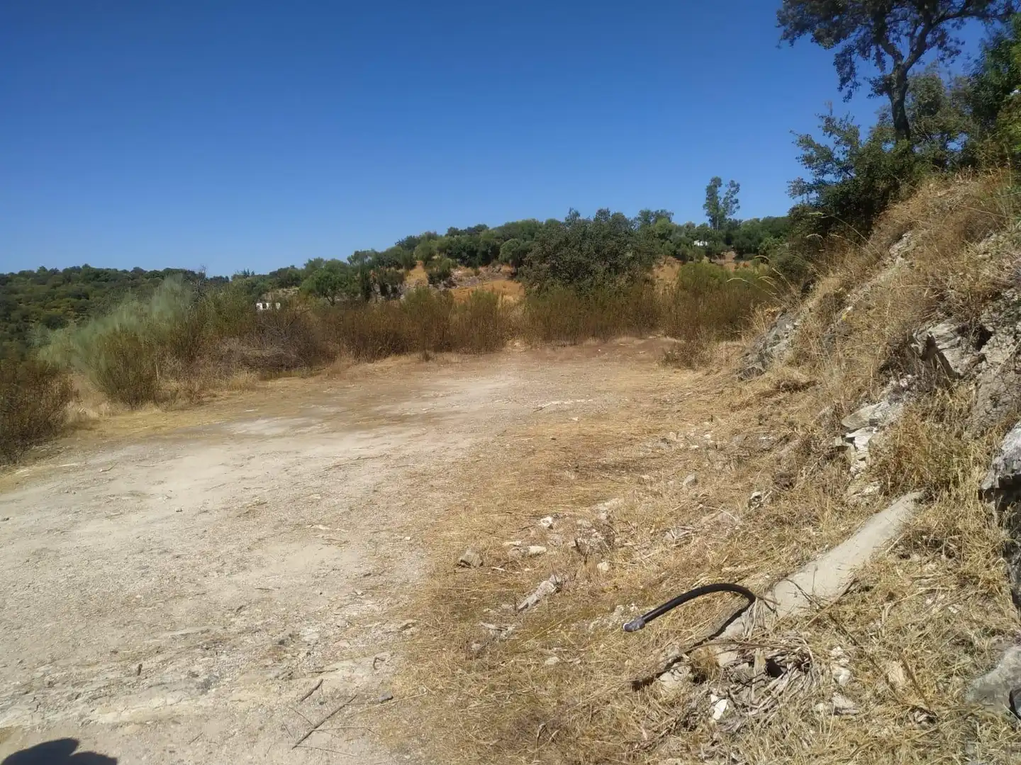 Terreny rústic en venda a Almodóvar del Río, imagen 6