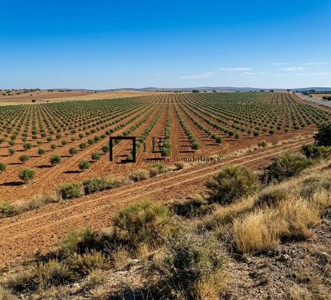 Terreny rústic en venda a Argés, imagen 4