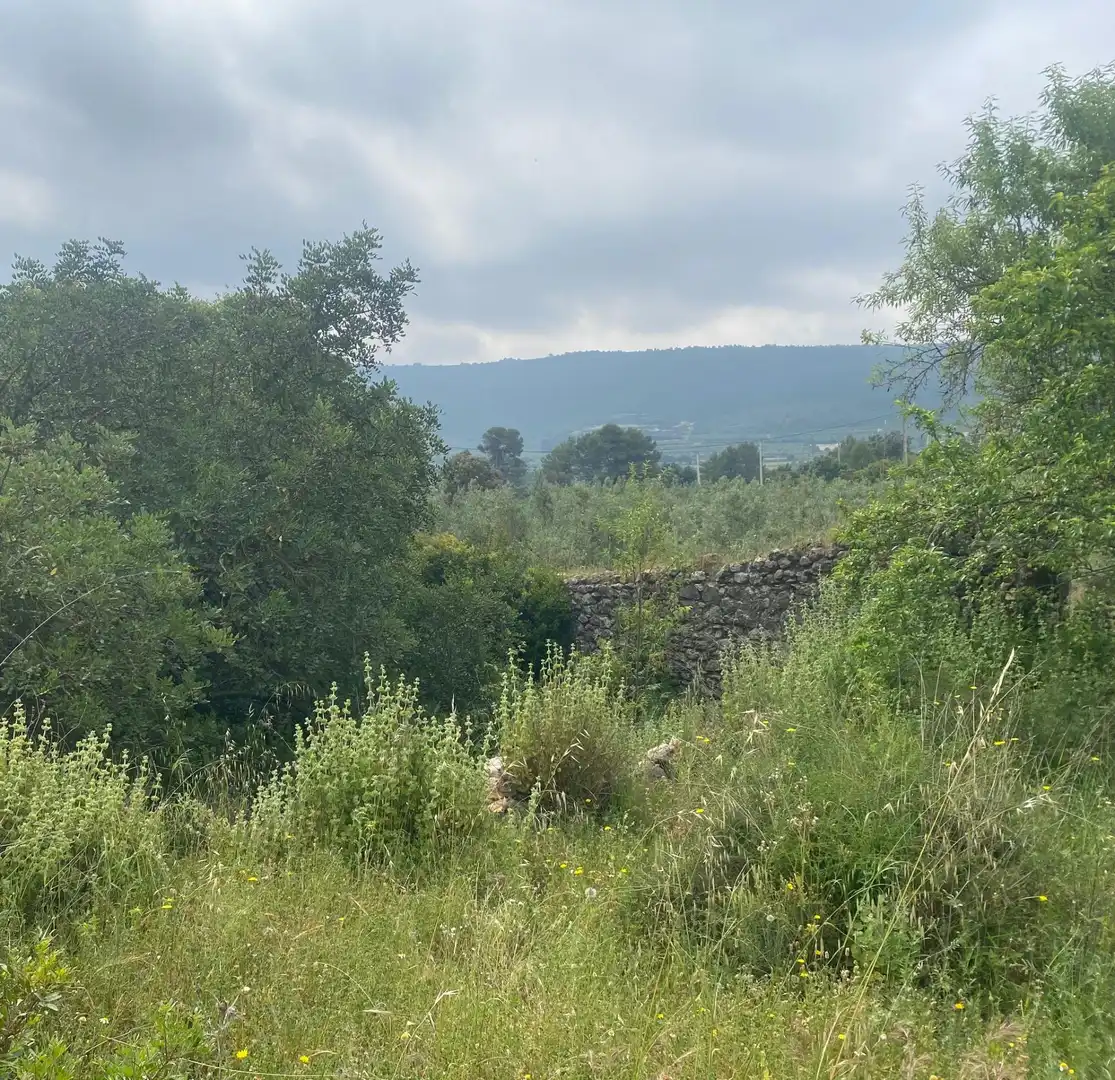 Finca rústica en venta en Enguera