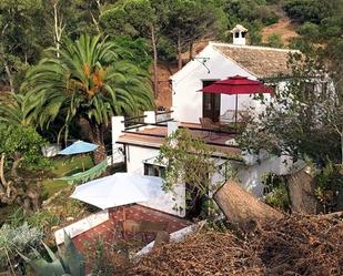 Terrassa de Finca rústica en venda en Casares amb Jardí privat, Terrassa i Traster