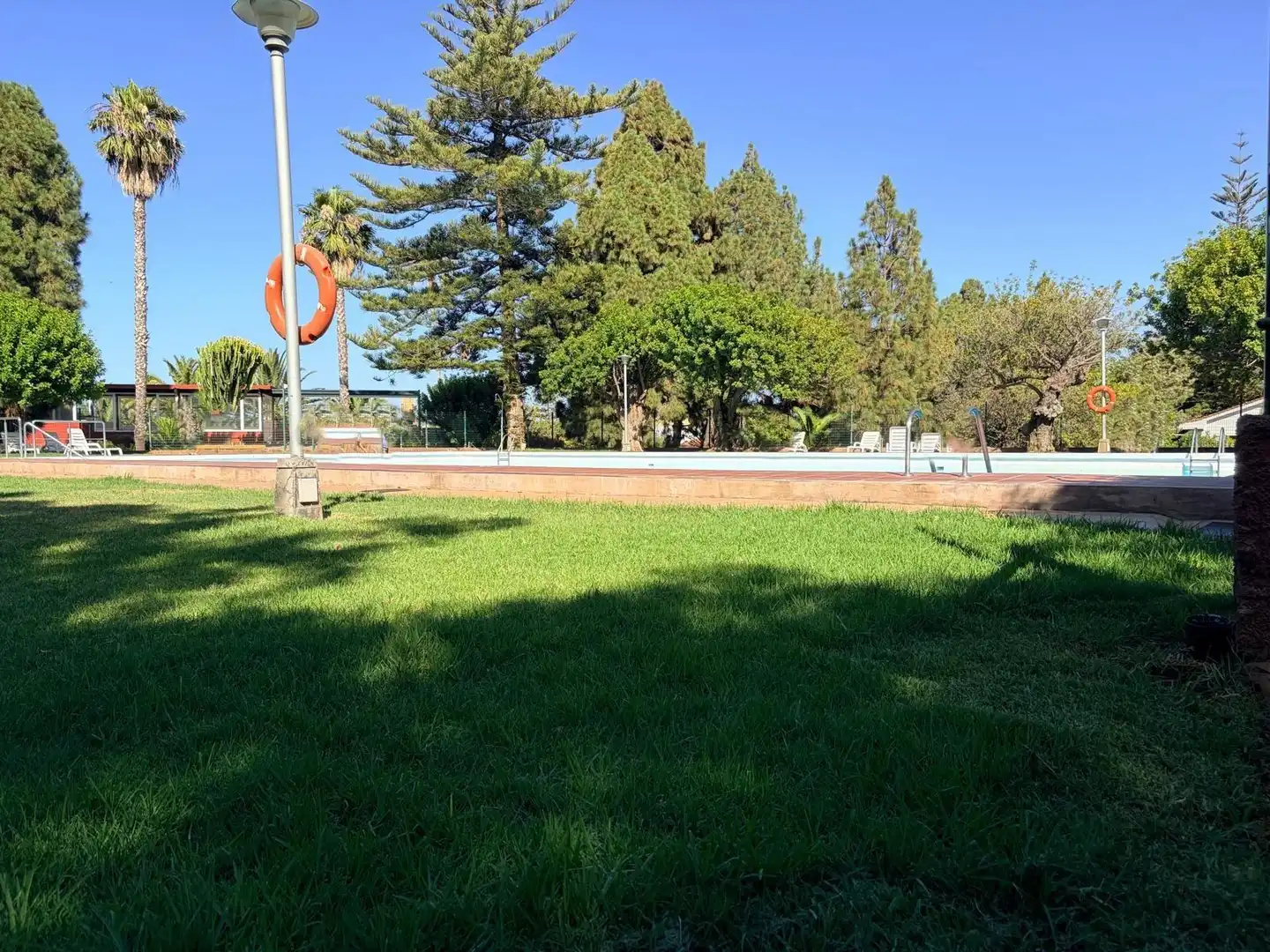Piscina de Loft de lloguer en Valsequillo de Gran Canaria amb Terrassa