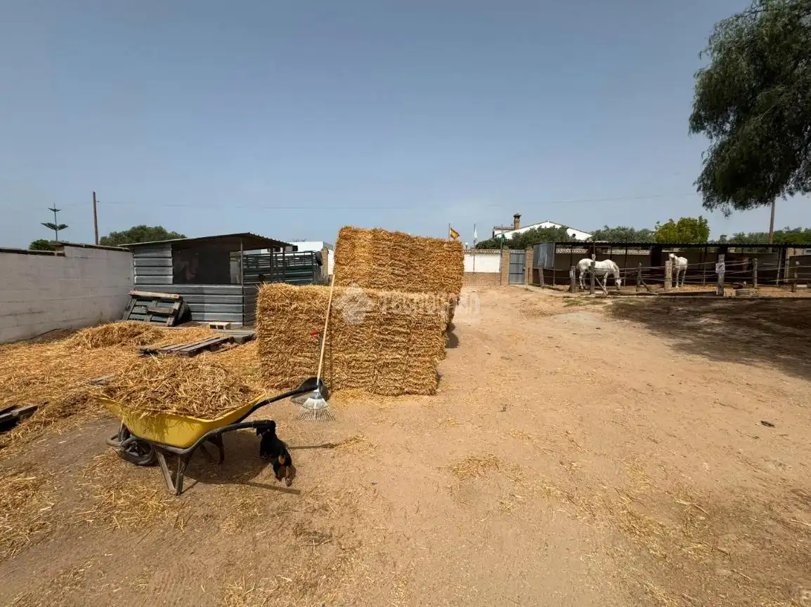 Casa rústica amb jardí en venda a Ctra Sanlúcar - Cuatro Pinos, imagen 21