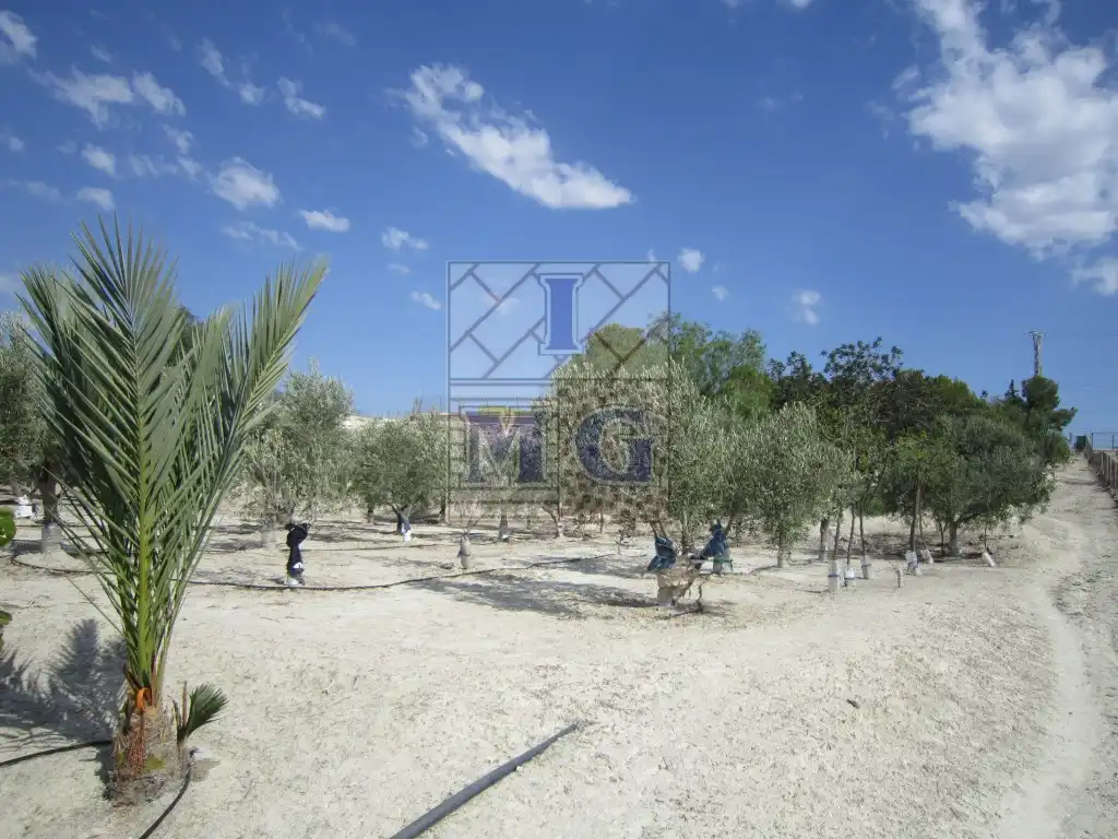 Casa o chalet en venta en Fortuna