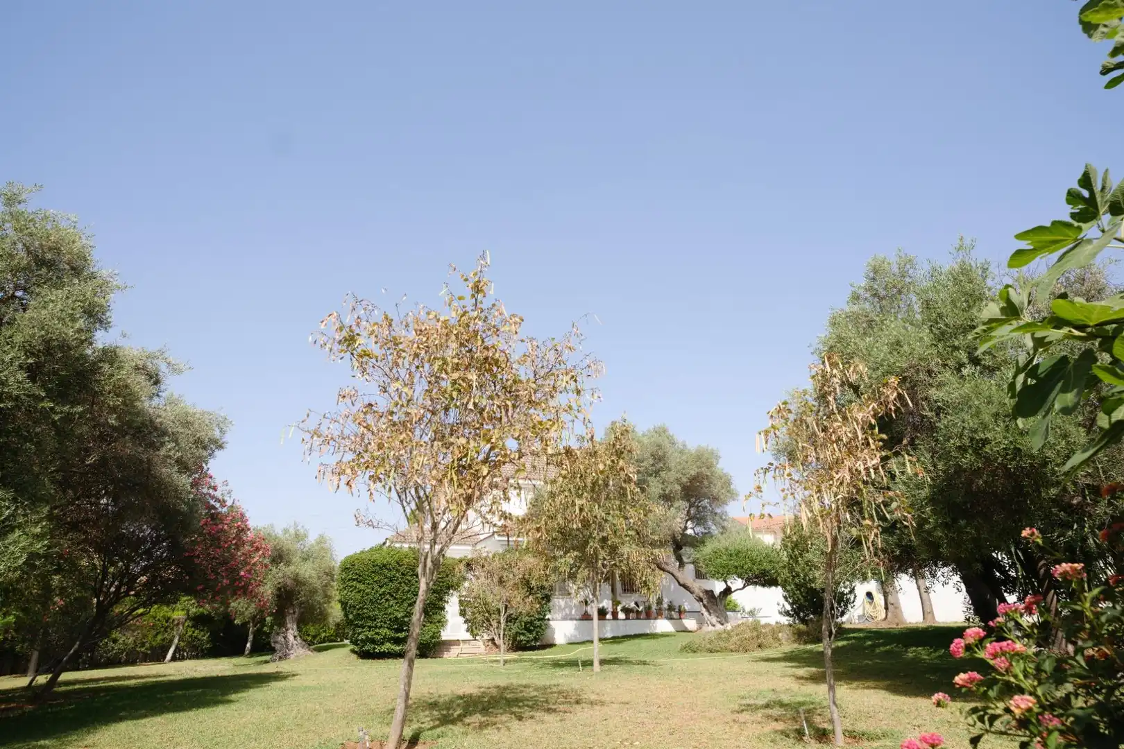 Jardín de Casa o chalet en venta en Alcalá de Guadaira con Aire acondicionado, Calefacción y Jardín privado