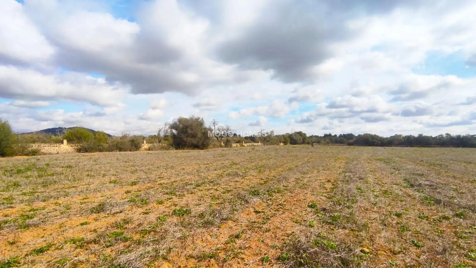 Lands and plots for sale in Llucmajor pueblo, imagen 7