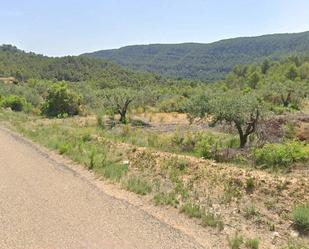 Land for sale in Quesa