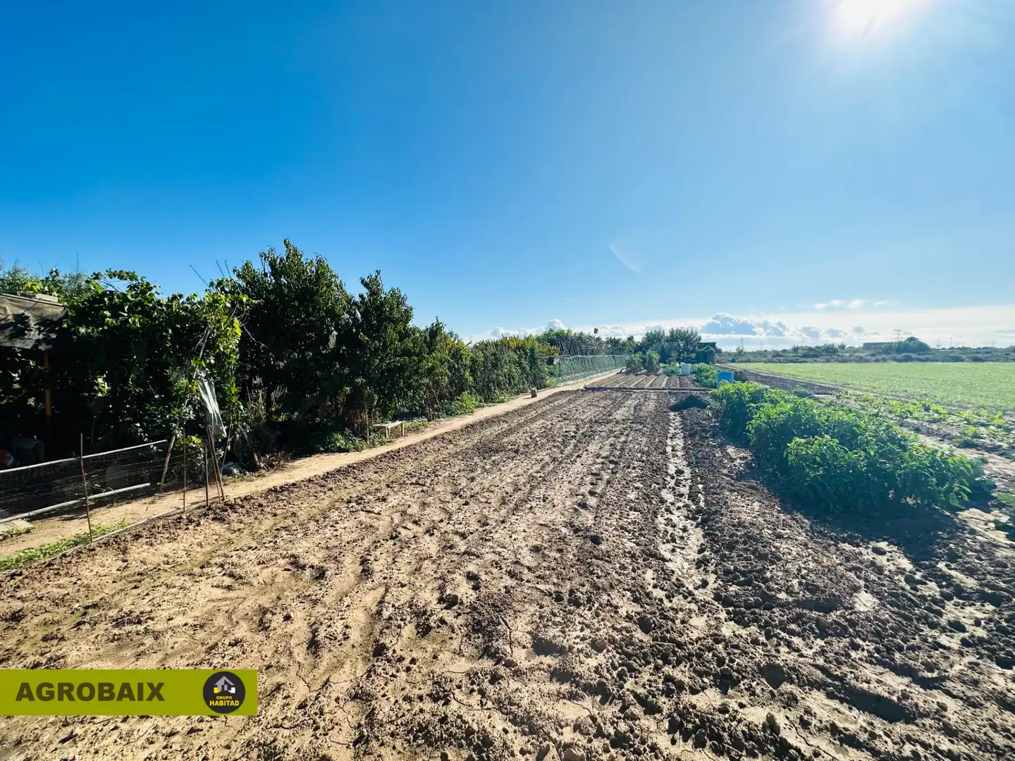 Rural land for sale in Torrent Ballester, imagen 3