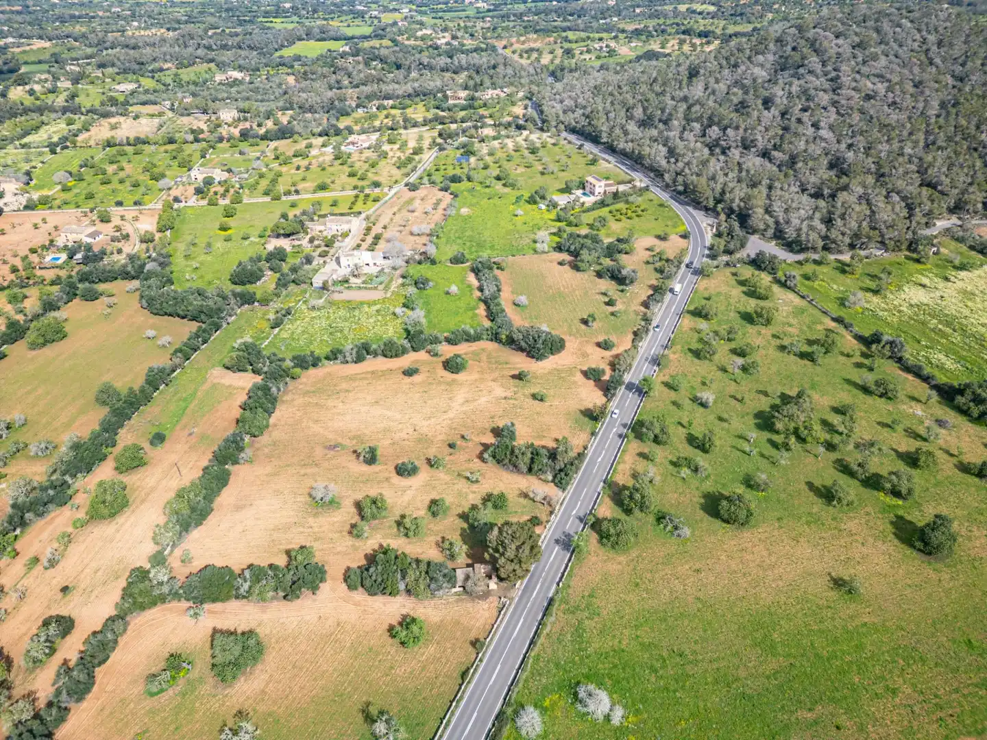 Rural land for sale in Felanitx Poble, imagen 22