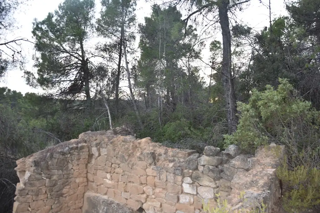 Terreni e lotti in vendita a Valderrobres, imagen 8