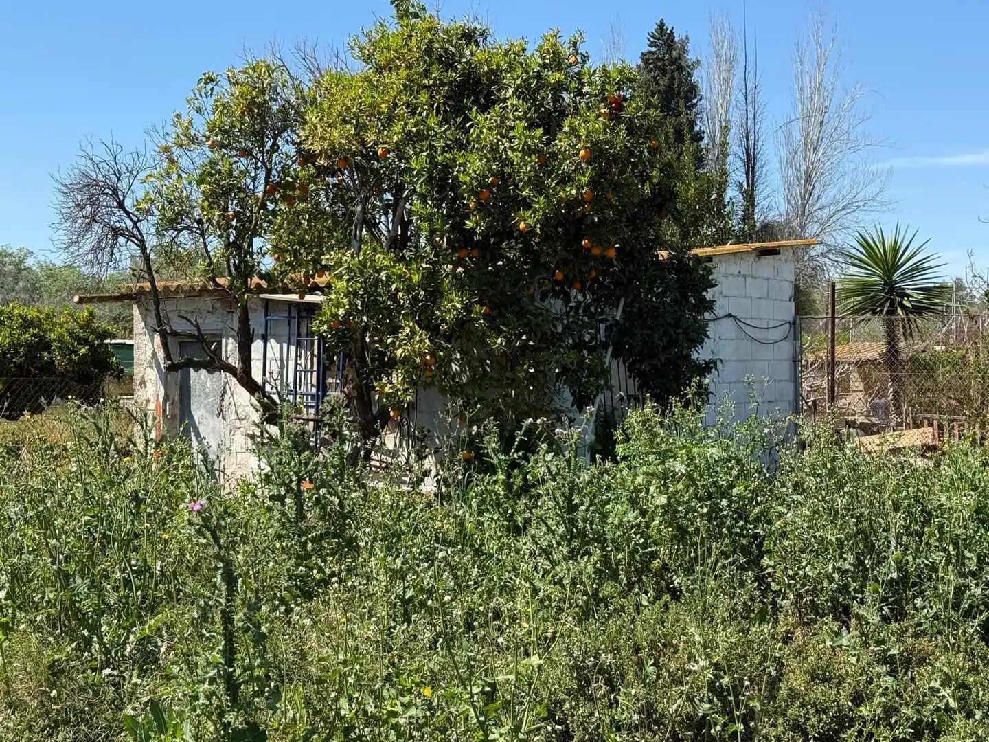 Houses for sale in Molina de Segura  with Private garden and Furnished