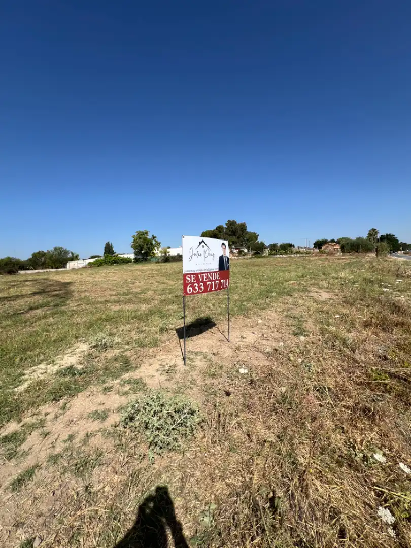 Rural land for sale in Almensilla, imagen 6