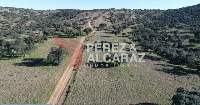 Terreny rústic en venda a Fuente Obejuna, imagen 3