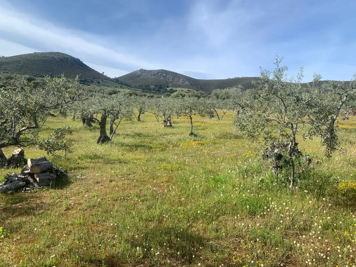 Terreni e lotti in vendita a LAS CARBONERAS, imagen 9