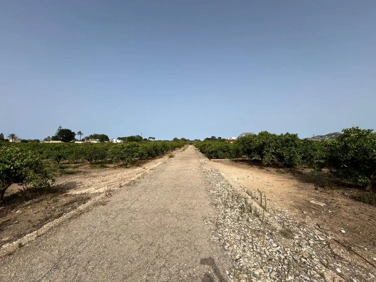 Terrenys i solars en venda a Ondara, imagen 37