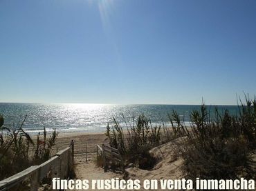Terreno rústico en venta en Centro - La Costilla