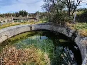 Casa con piscina en venta en Carretera de Caniles, imagen 14
