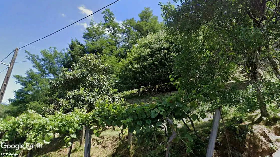 Rural land for sale in A Estrada