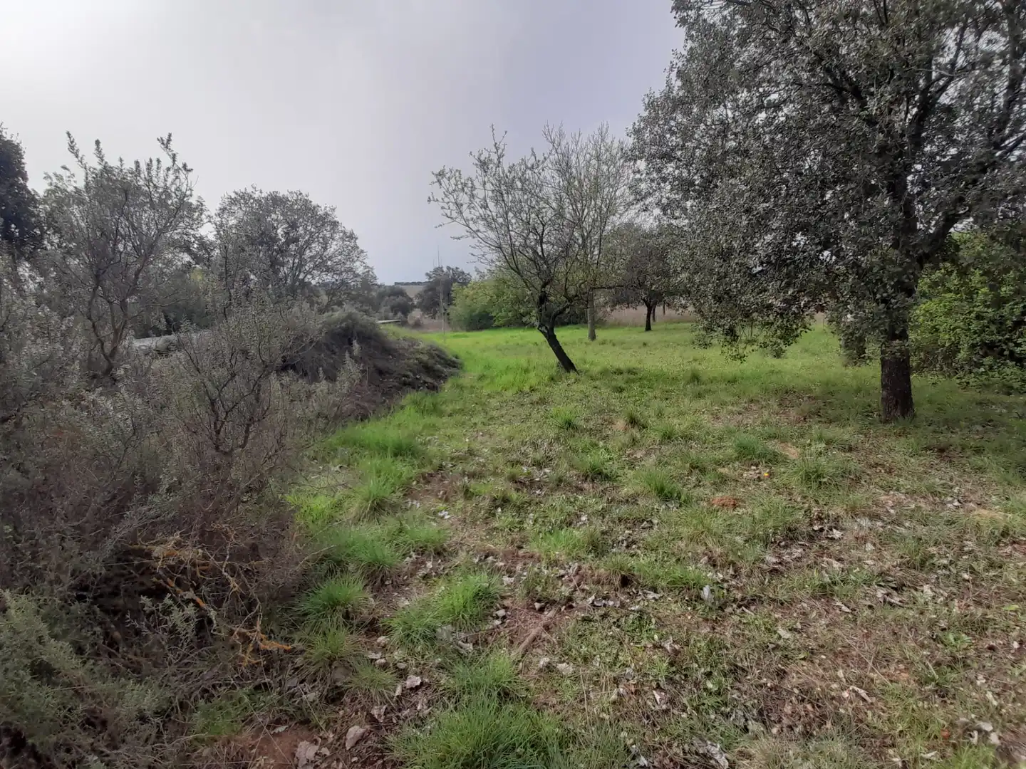 Finca rústica en venta en Brazatortas con Trastero y Piscina