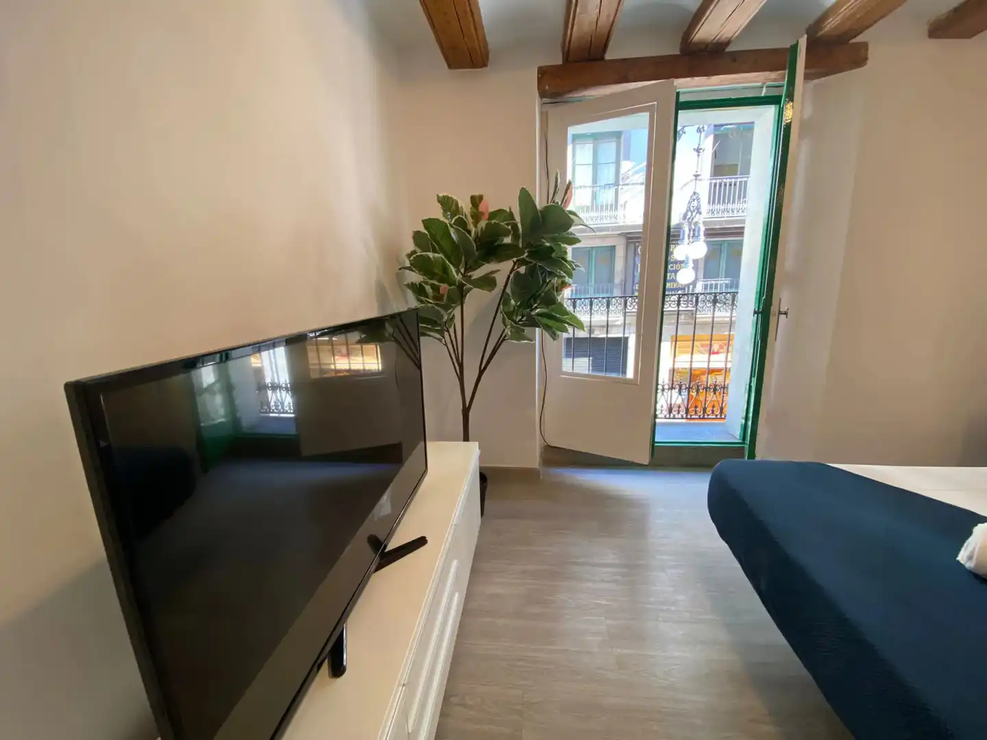 Sala d'estar de Pis de lloguer en Ciutat Vella