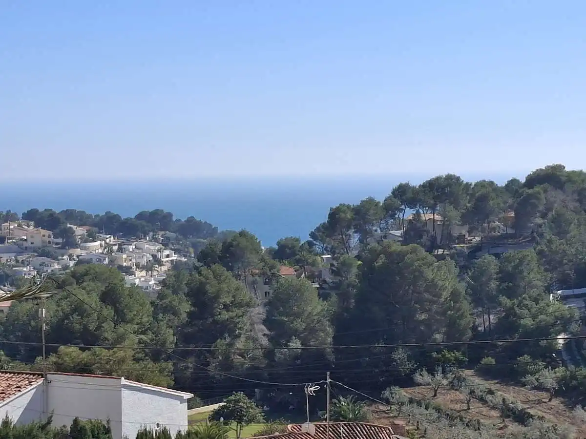 Vista exterior de Casa o chalet en venta en Guardamar del Segura con Calefacción, Jardín privado y Terraza