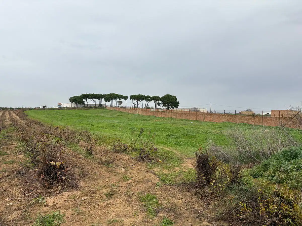 Terrenys i solars en venda a Bollullos Par del Condado, imagen 4