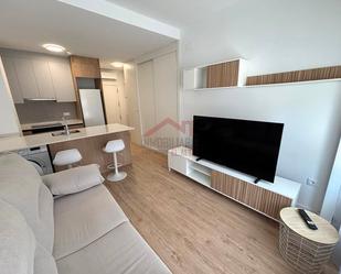 Living room of Study to rent in Elche / Elx  with Air Conditioner, Parquet flooring and Furnished