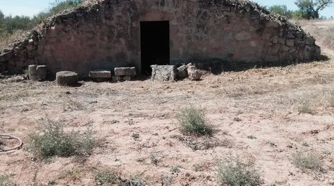 Immagine 1 dell'annuncio