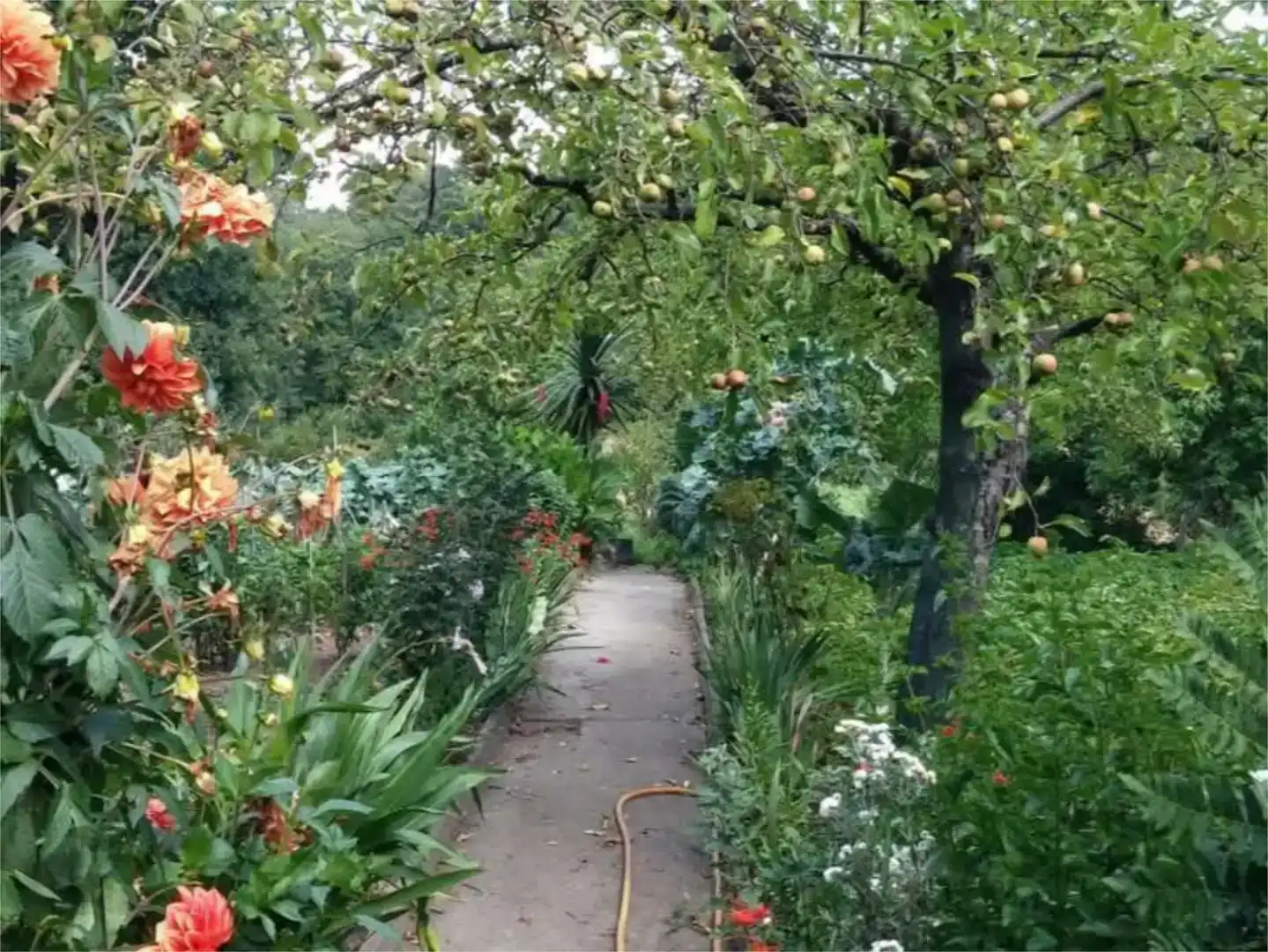 Garten von Wohnung zum Verkauf in Carballedo, Lugo