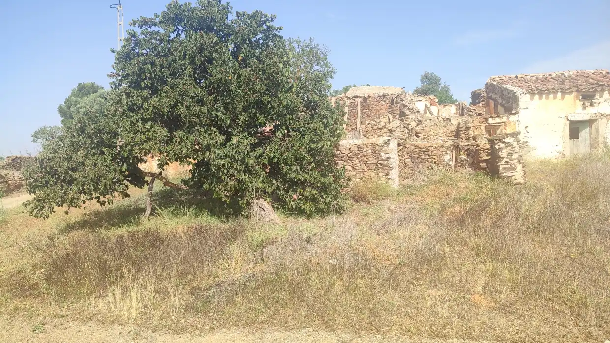Terreno residencial en venta en Vélez-Rubio