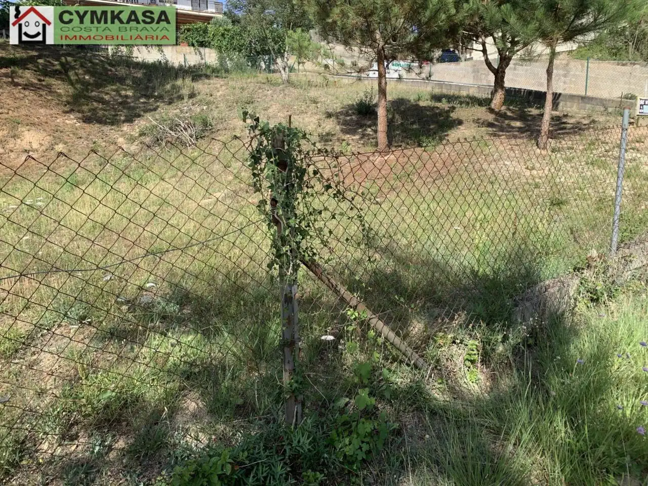 Terreno rustico in vendita a Montbarbat, imagen 5