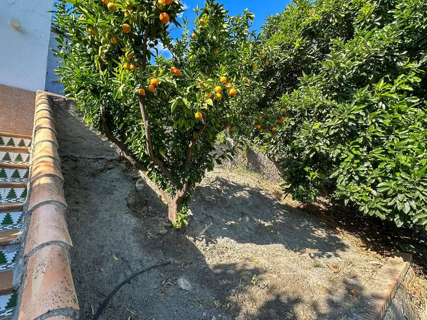 Vista exterior de Apartamento en venta en Los Guájares con Terraza y Alarma
