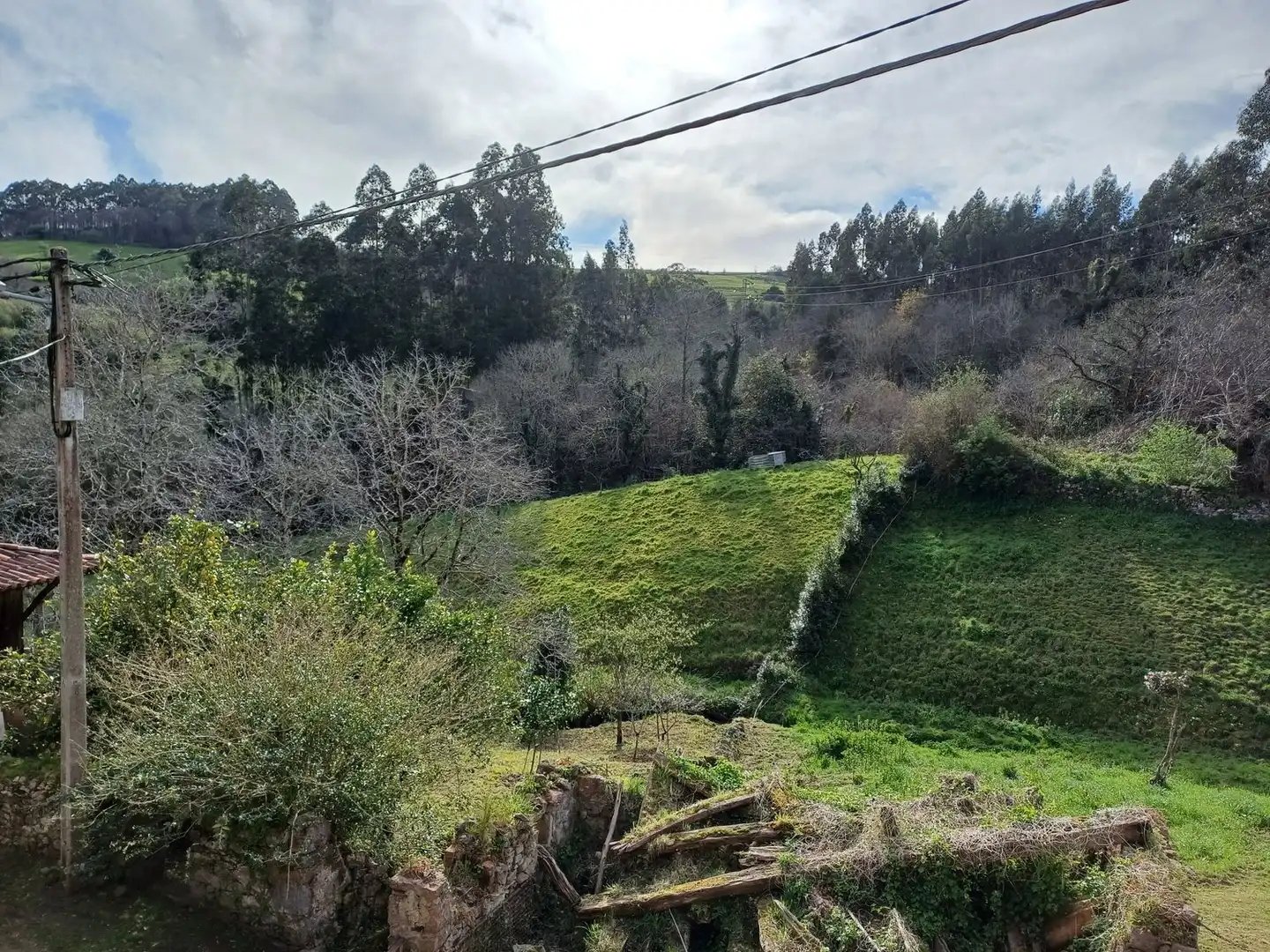Casa o xalet en venda en Illas amb Terrassa, Traster i Piscina