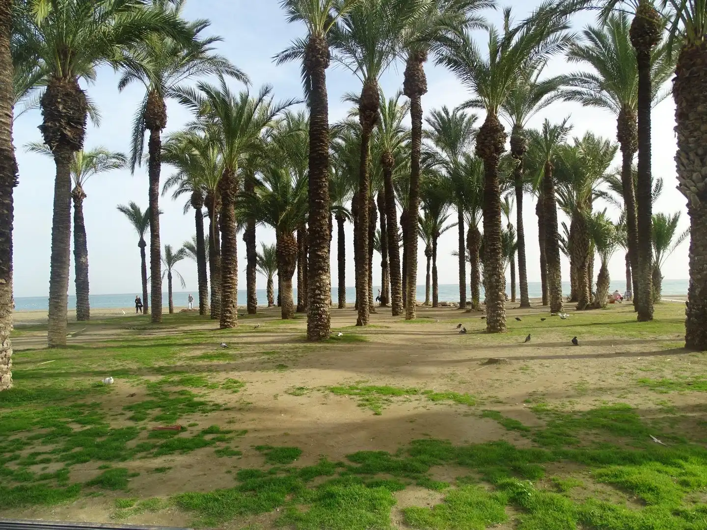 Jardí de Casa o xalet en venda en Torremolinos amb Aire condicionat, Calefacció i Moblat