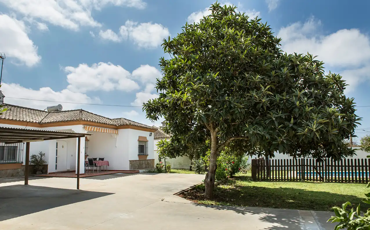 Jardín de Casa o chalet de alquiler en Chiclana de la Frontera con Piscina y Amueblado