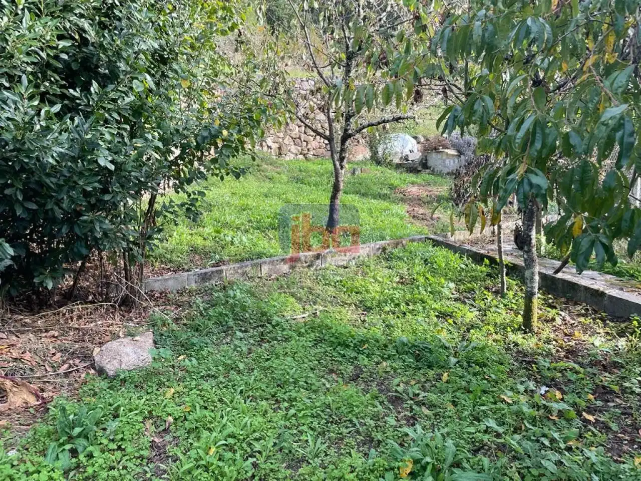 Casa o chalet en venta en Ourense Capital  con Jardín privado