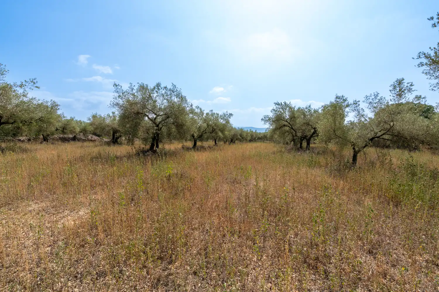 Rustikales Grundstück zum Verkauf in Ulldecona