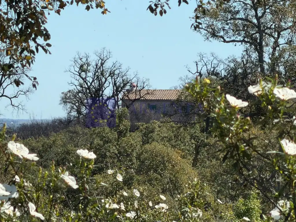 Vista exterior de Finca rústica en venta en Aliseda con Terraza