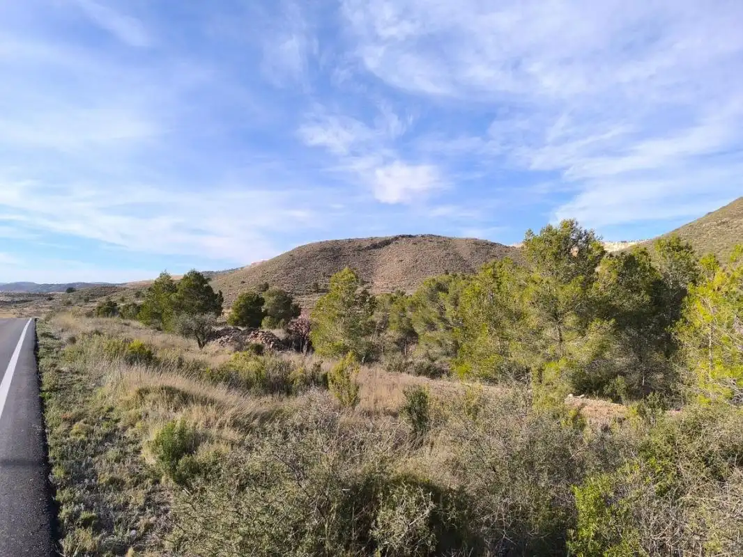 Rural land for sale in Poligono 4, parcela 190, imagen 3